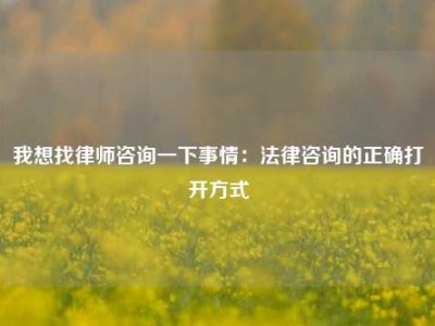 我想找律师咨询一下事情：法律咨询的正确打开方式