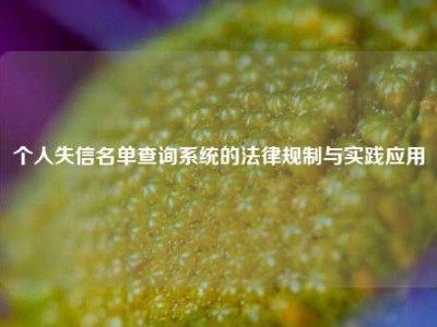 个人失信名单查询系统的法律规制与实践应用
