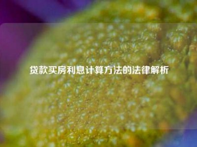贷款买房利息计算方法的法律解析