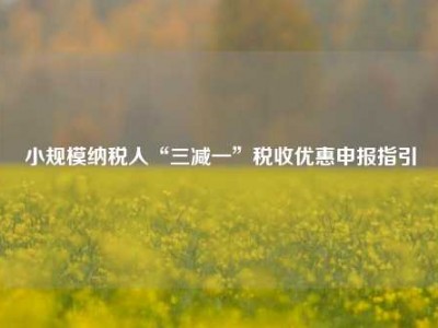 小规模纳税人“三减一”税收优惠申报指引