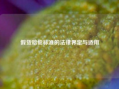 假货赔偿标准的法律界定与适用