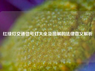 红绿灯交通信号灯大全及图解的法律意义解析