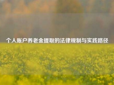 个人账户养老金提取的法律规制与实践路径