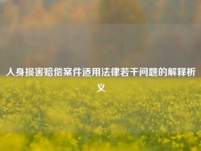 人身损害赔偿案件适用法律若干问题的解释析义