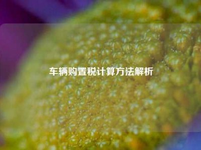 车辆购置税计算方法解析