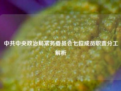 中共中央政治局常务委员会七位成员职责分工解析