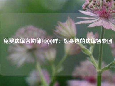 免费法律咨询律师QQ群：您身边的法律智囊团