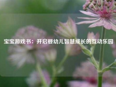宝宝游戏书：开启婴幼儿智慧成长的互动乐园