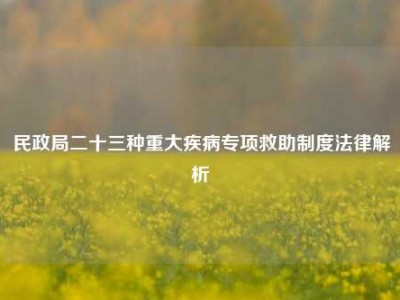 民政局二十三种重大疾病专项救助制度法律解析