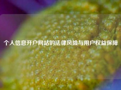 个人信息开户网站的法律风险与用户权益保障