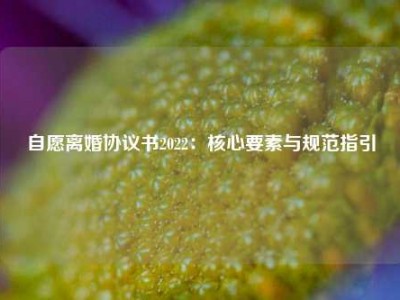 自愿离婚协议书2022：核心要素与规范指引