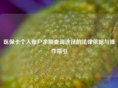 医保卡个人账户余额查询途径的法律依据与操作指引