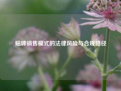 贴牌销售模式的法律风险与合规路径