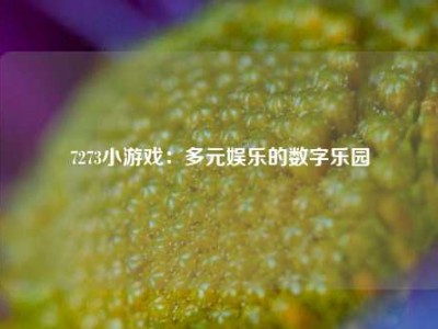 7273小游戏：多元娱乐的数字乐园