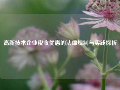 高新技术企业税收优惠的法律规制与实践探析