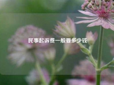 民事起诉费一般要多少钱
