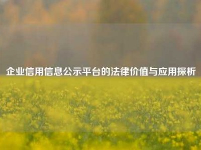 企业信用信息公示平台的法律价值与应用探析