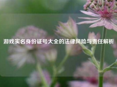 游戏实名身份证号大全的法律风险与责任解析