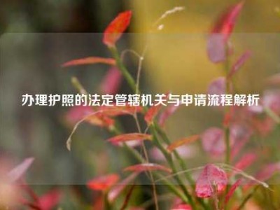 办理护照的法定管辖机关与申请流程解析