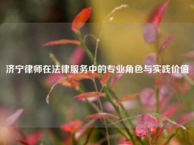 济宁律师在法律服务中的专业角色与实践价值