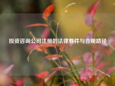 投资咨询公司注册的法律要件与合规路径