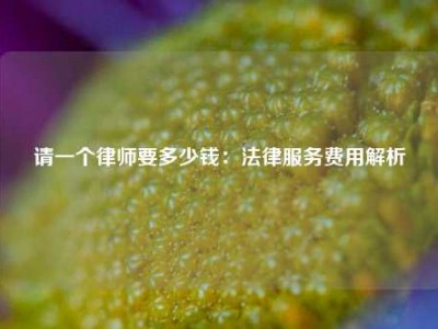 请一个律师要多少钱：法律服务费用解析