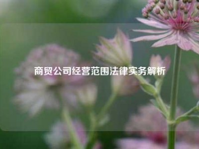 商贸公司经营范围法律实务解析