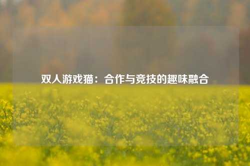 双人游戏猫:合作与竞技的趣味融合