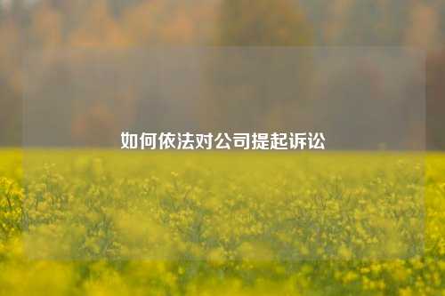 如何依法对公司提起诉讼