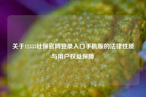 关于12333社保官网登录入口手机版的法律性质与用户权益保障