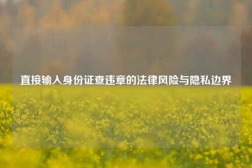 直接输入身份证查违章的法律风险与隐私边界