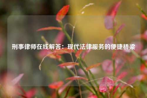 刑事律师在线解答：现代法律服务的便捷桥梁