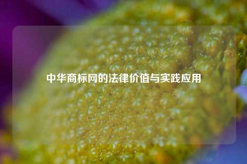 中华商标网的法律价值与实践应用