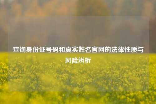 查询身份证号码和真实姓名官网的法律性质与风险辨析