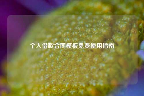 个人借款合同模板免费使用指南