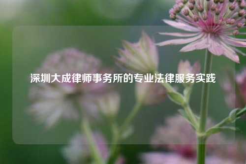 深圳大成律师事务所的专业法律服务实践