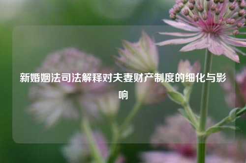 新婚姻法司法解释对夫妻财产制度的细化与影响